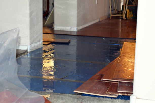 Professional Water Damage Restoration technician working in Silver Creek, MS